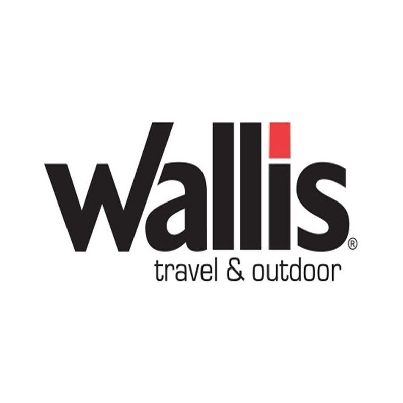 Encendedor Wallis Electrónico Usb Con Linterna